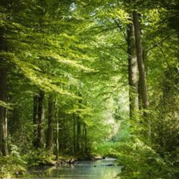 Its Meee, Minty! 😎 (AnnaBella)~ Your Posher, Seller and Buyer - Picture 10 of 14